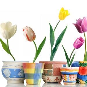 Meet your Posher, Shivani